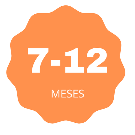 7 a 12 Meses
