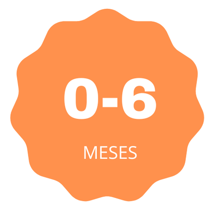 0 a 6 Meses